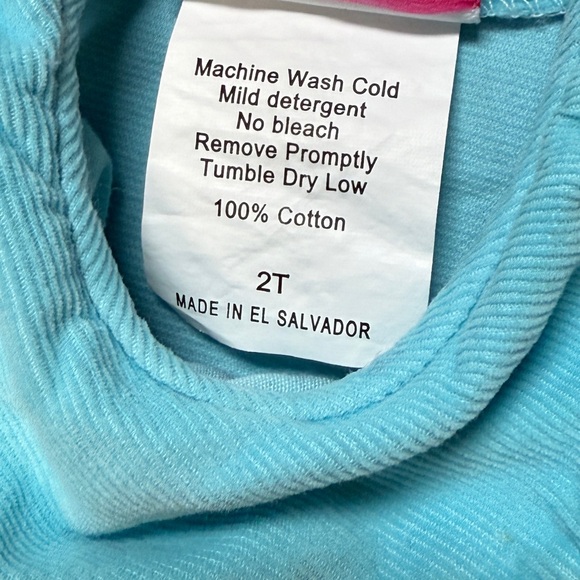 Shrimp & Grits Kids: Girls Blue Dress with Pumpkin Patch, Size 2T - Picture 4 of 7